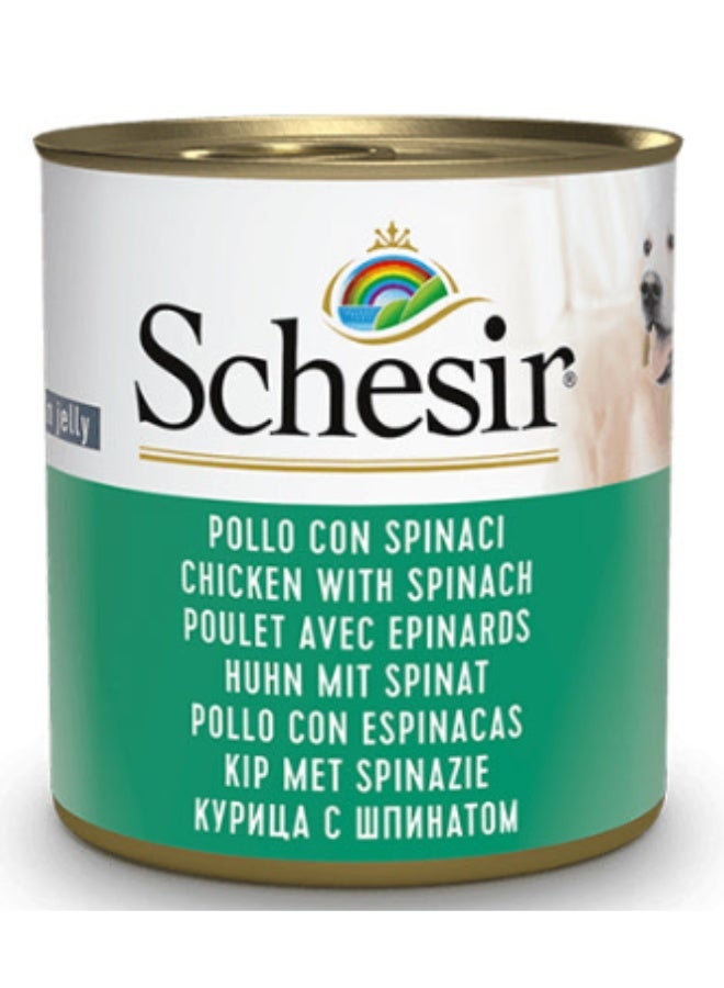 Schesir Adult Dog 🐾 – Chicken Fillets with Spinach in Jelly – 100% Natural Ingredients – 150 g Can ✨
